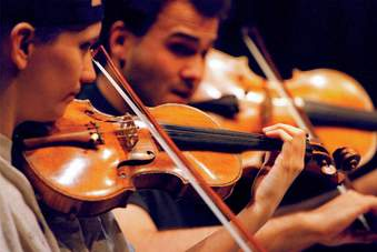 音乐家上诉失败案例