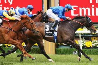 养马人成功案例分析